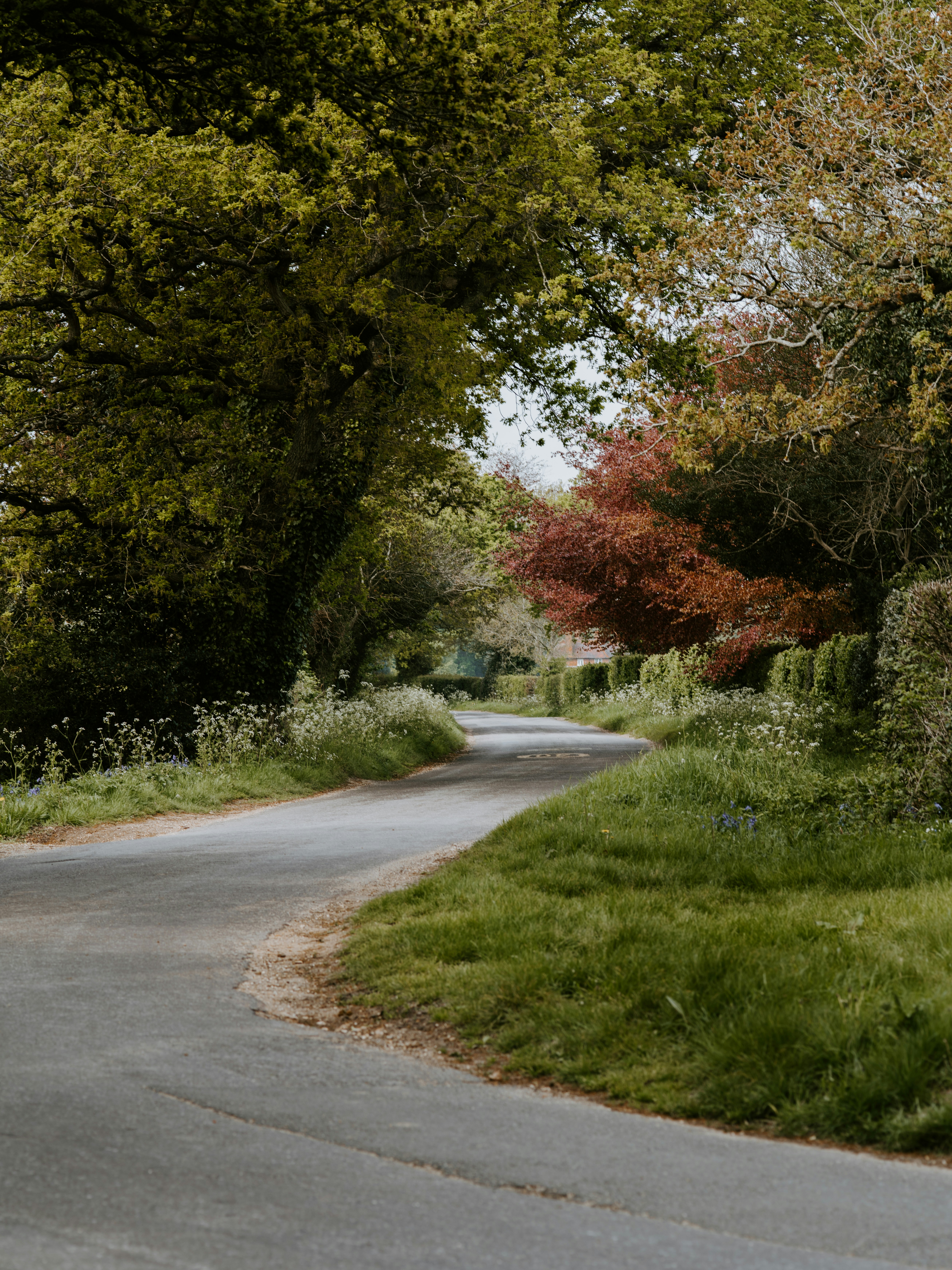 Photo by anniespratt