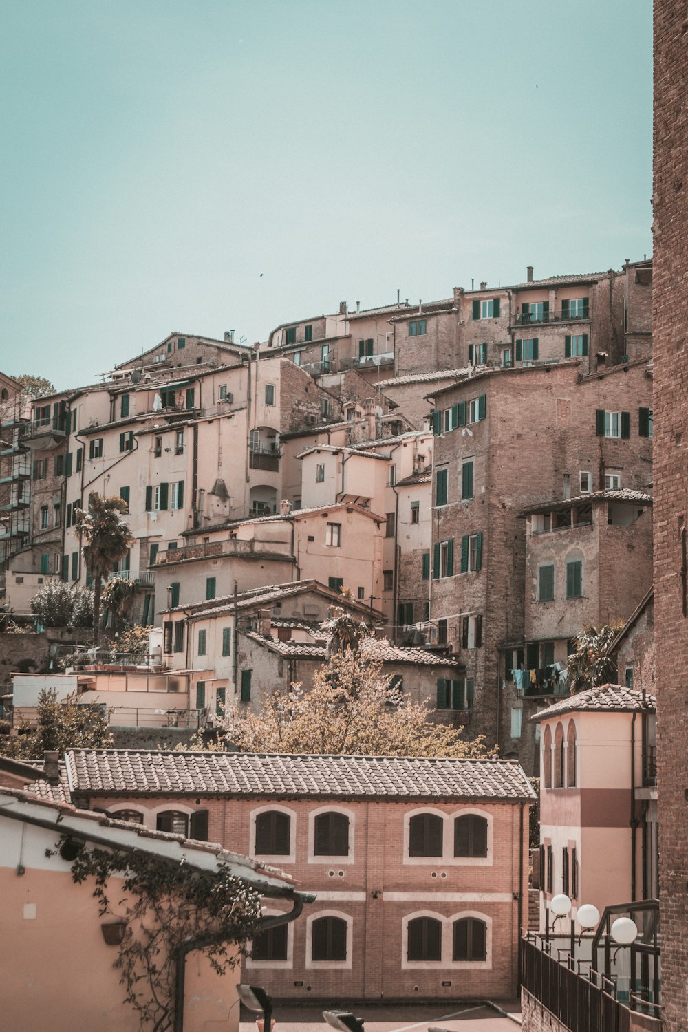 brown concrete buildings during daytime