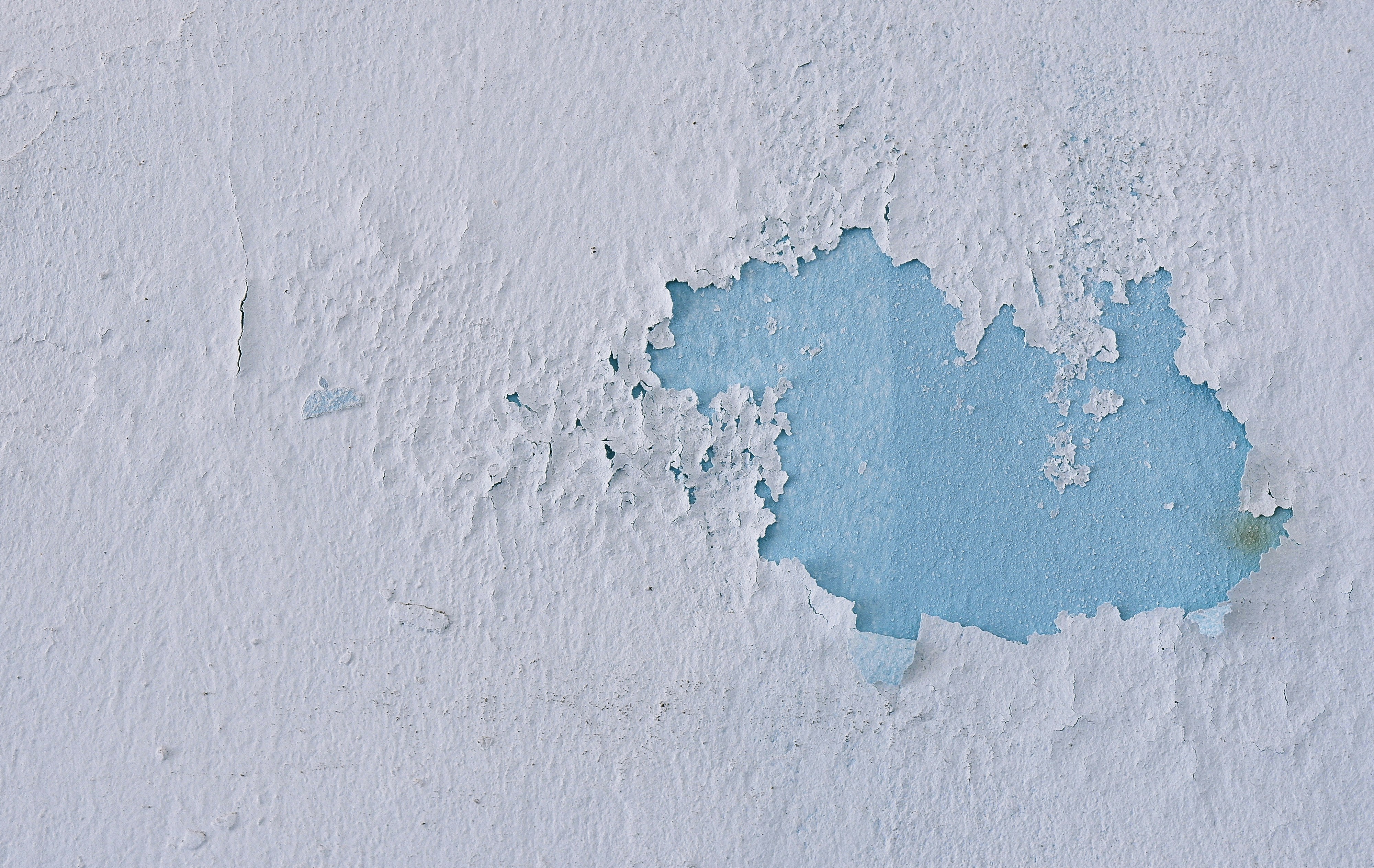 Mold Removal