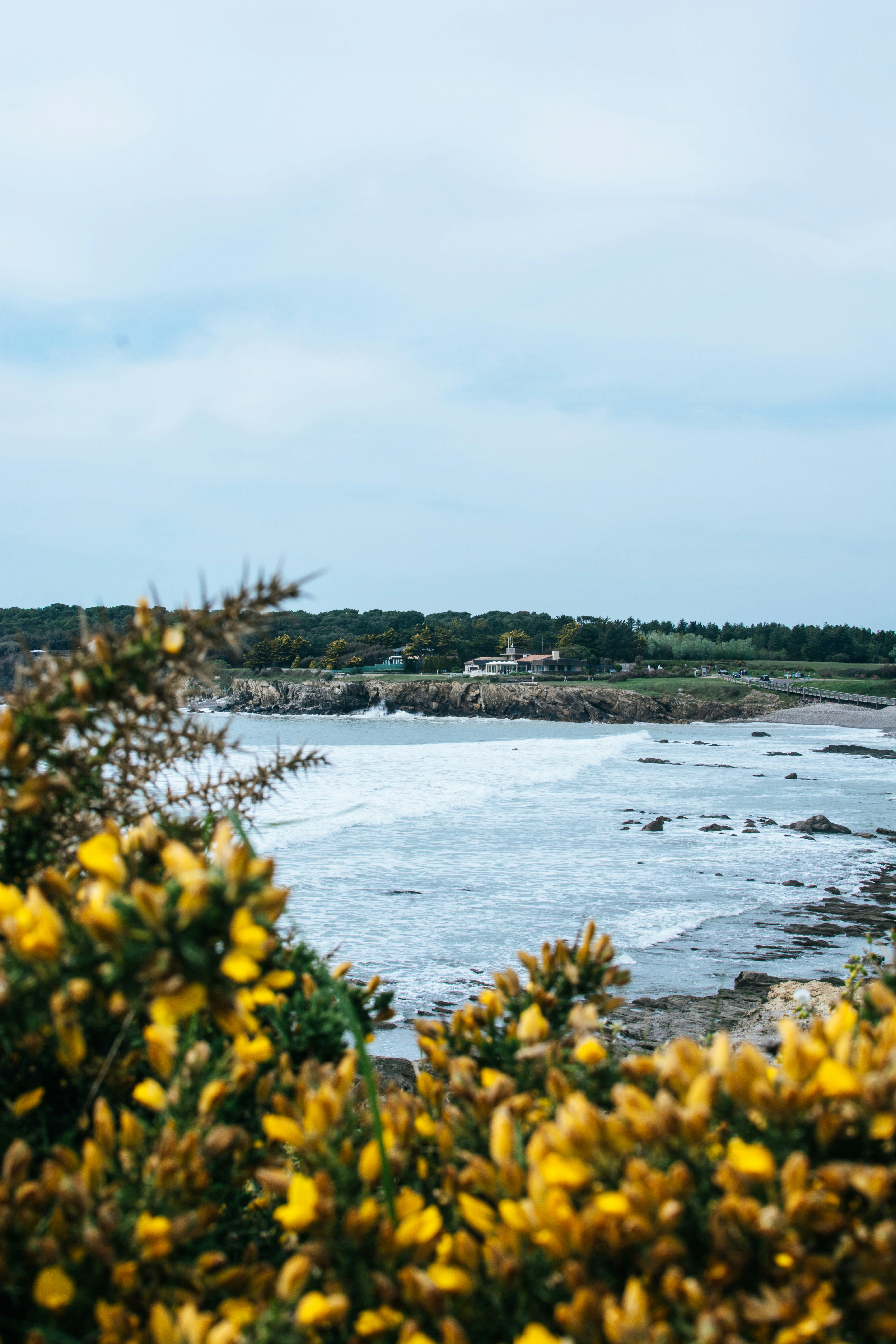 Photo by elodieoudot