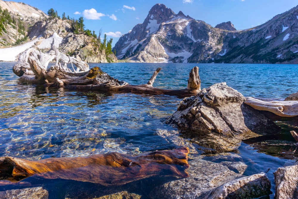 rock formations on ocean