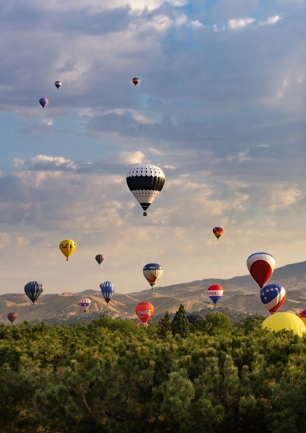 hot air balloons over green trees at daytime