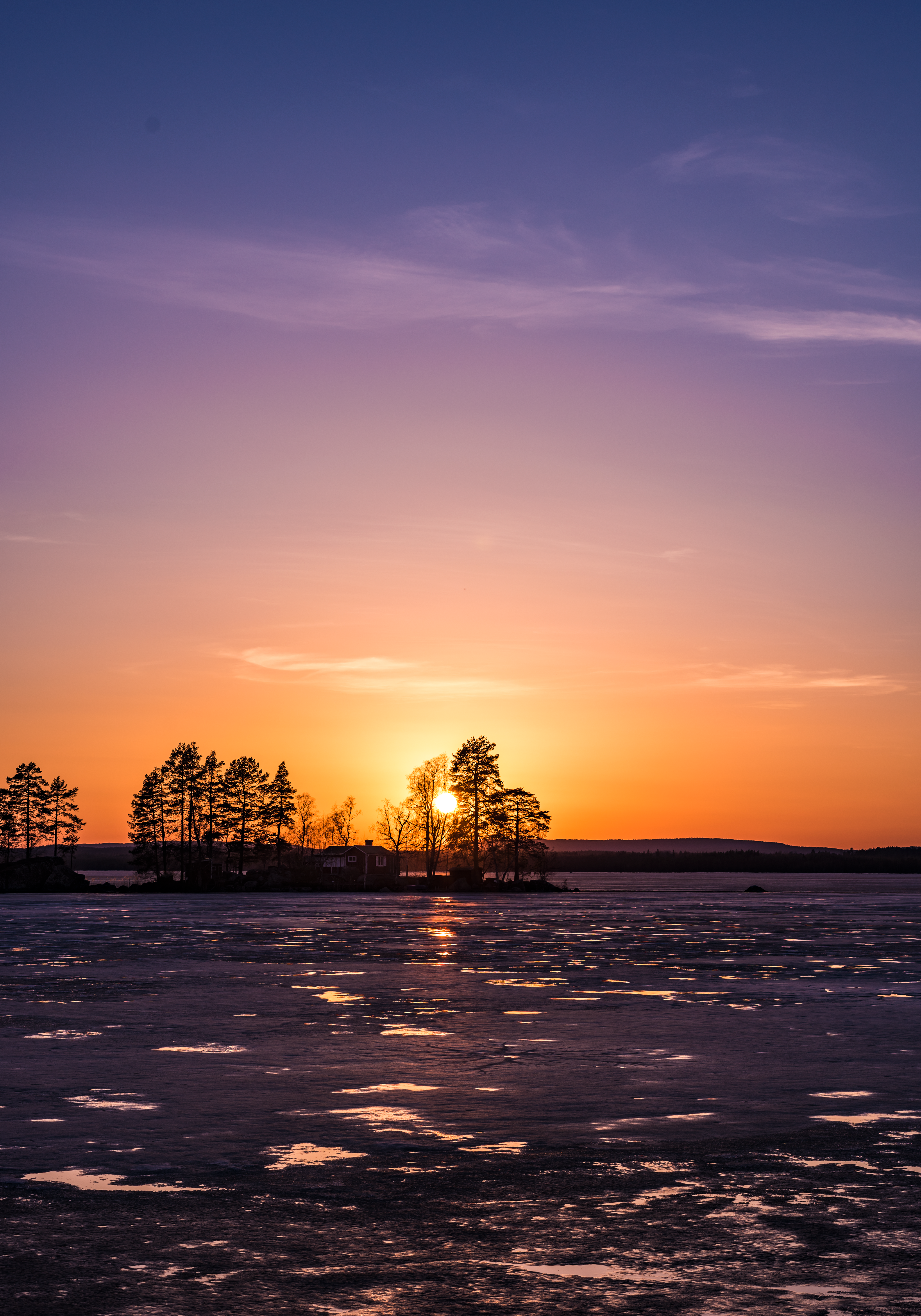 silhouette of trees near sea under orange skies