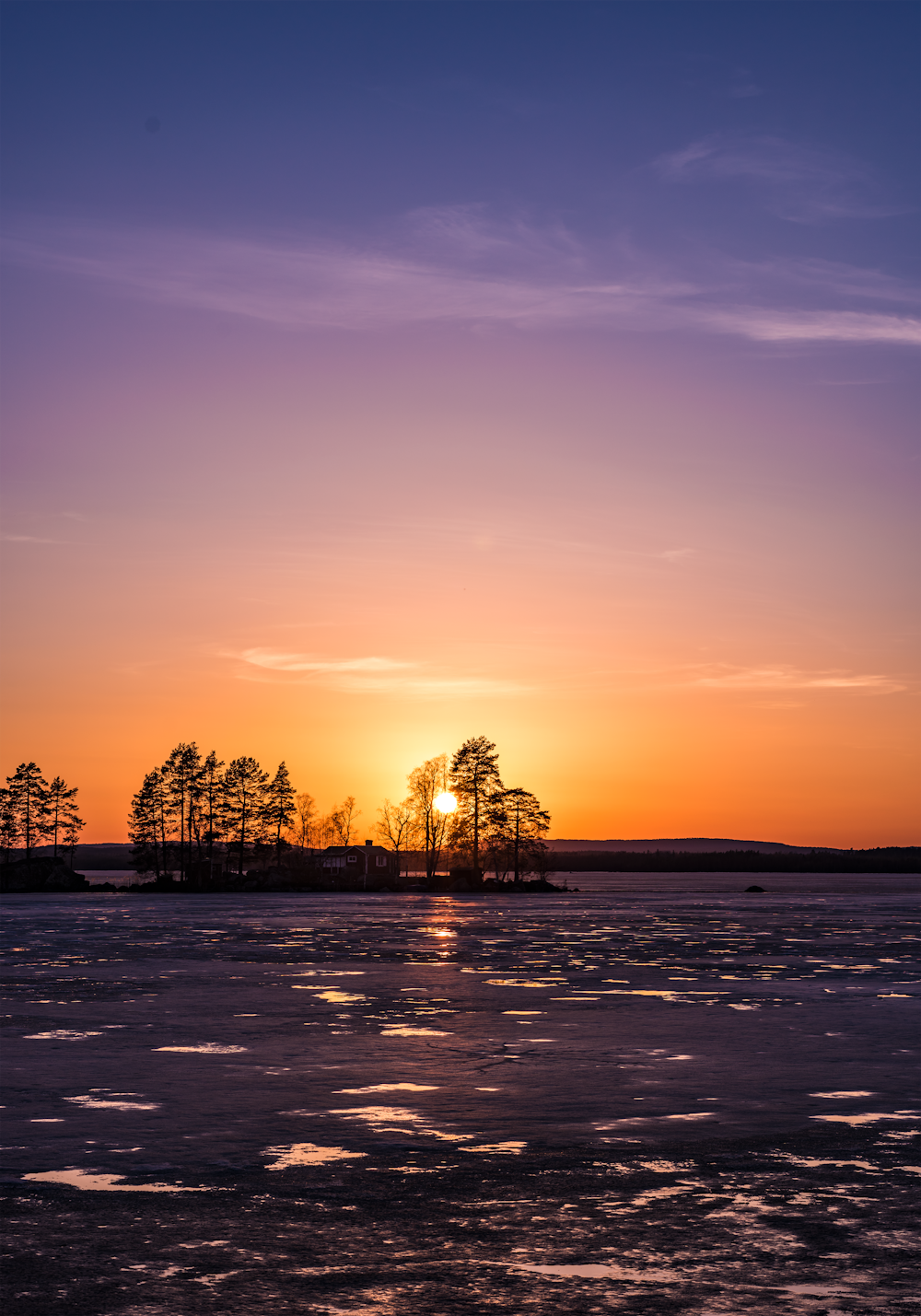 silhouette of trees near sea under orange skies