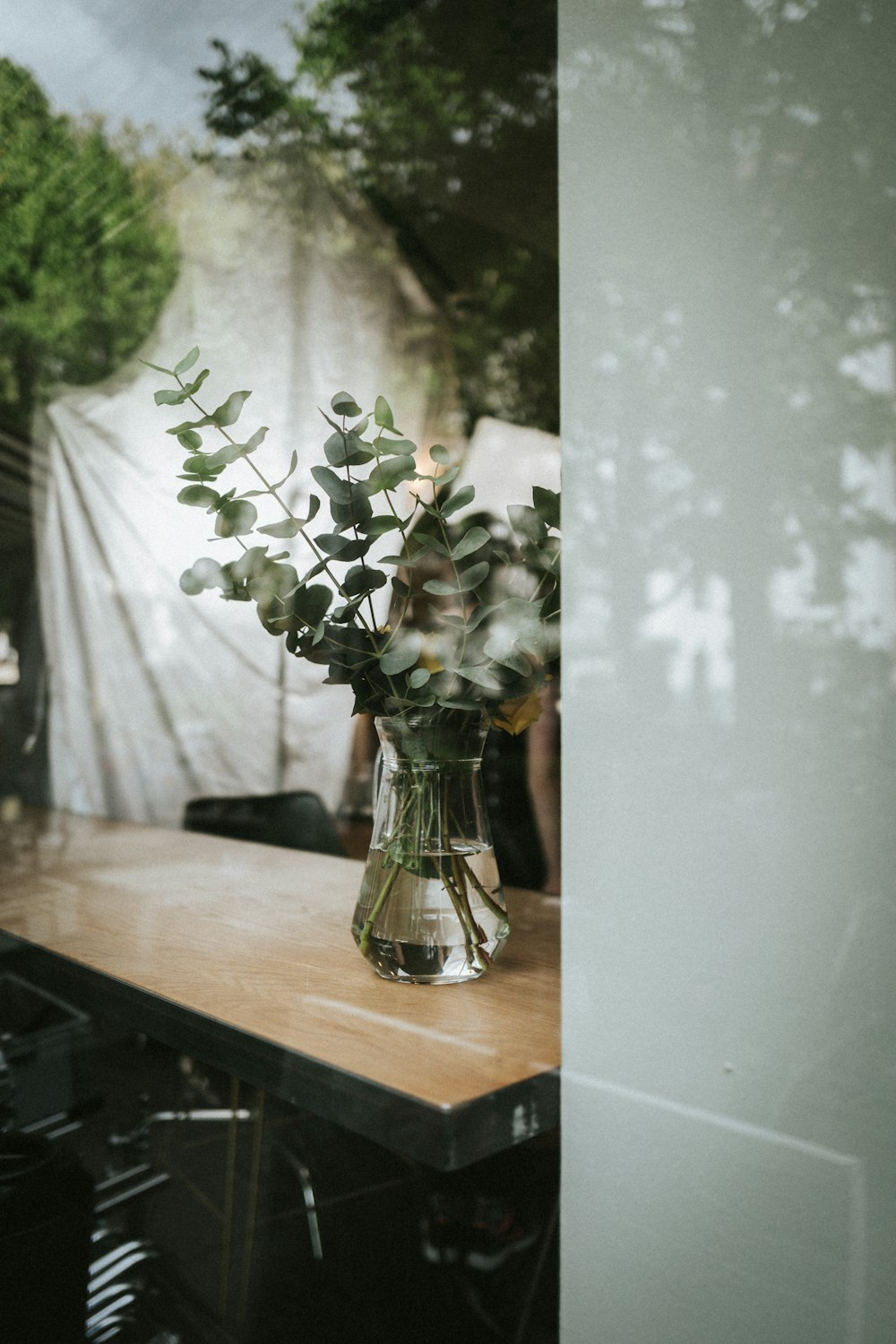 planta da folha verde no vaso de vidro transparente na superfície de madeira