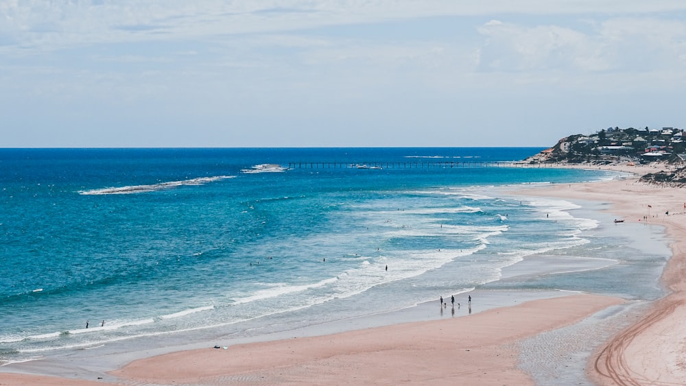 wavy seashore during daytime