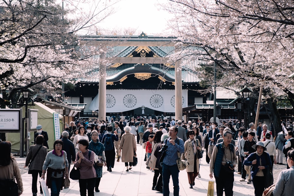 people in front of temple during day