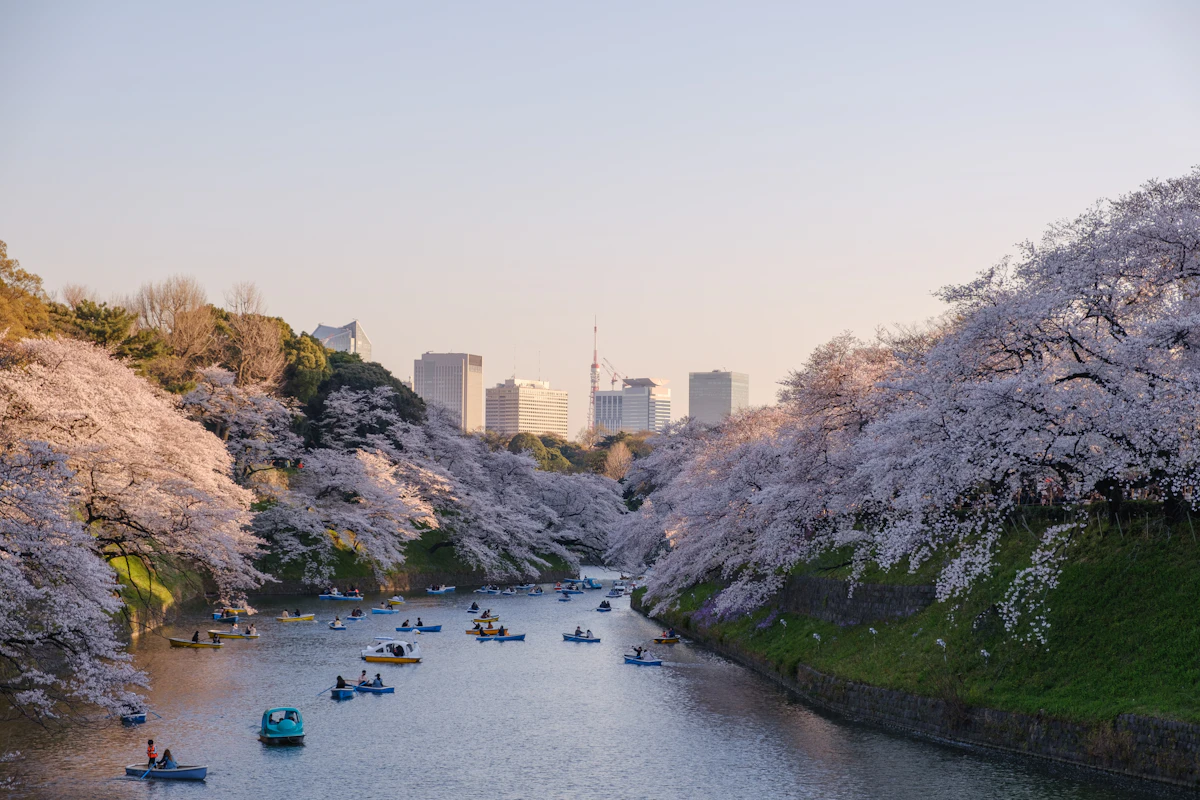 Romantic Tokyo in 4 Days