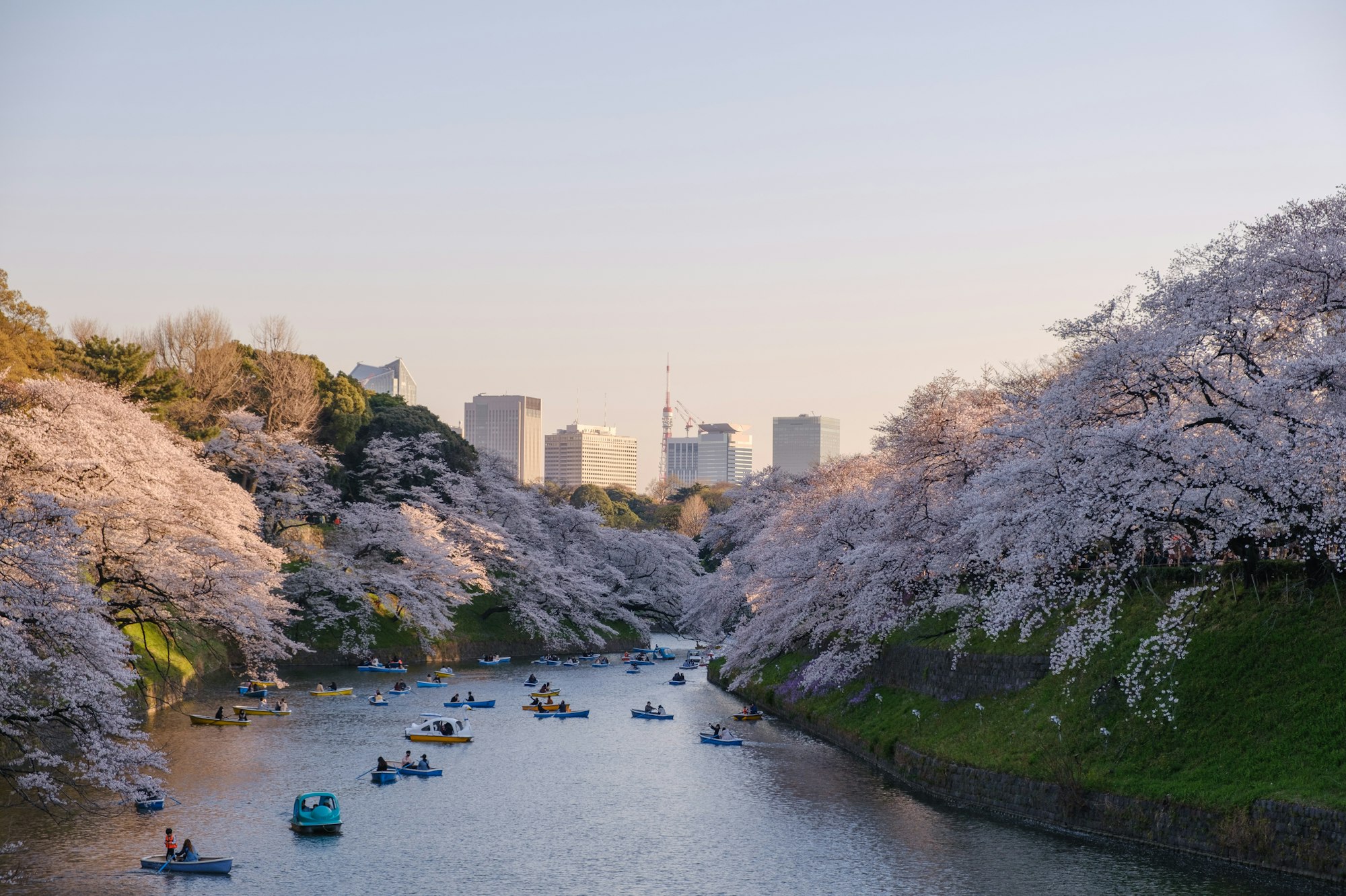 9 Activities for the Ultimate Tokyo Summer