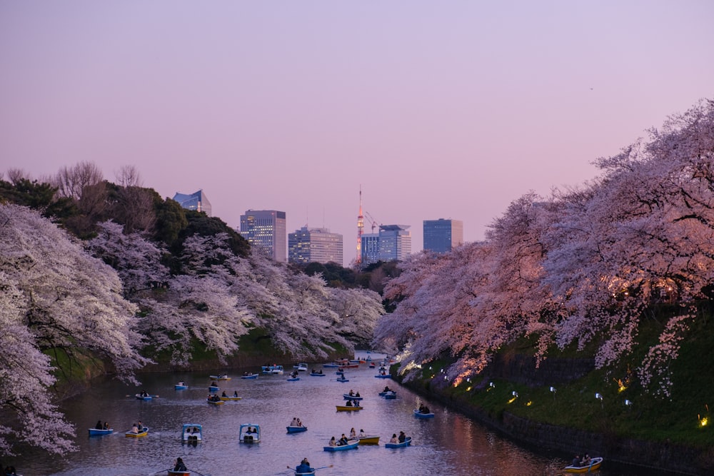 수역에 보트