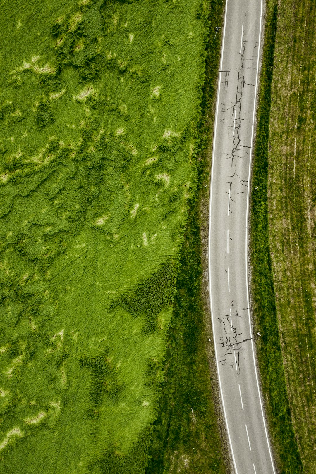 aerial photo of empty concrete road between plants