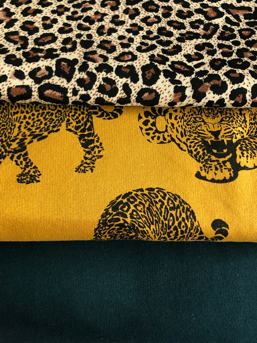 Leopard Print Pictures | Download Free Images on Unsplash