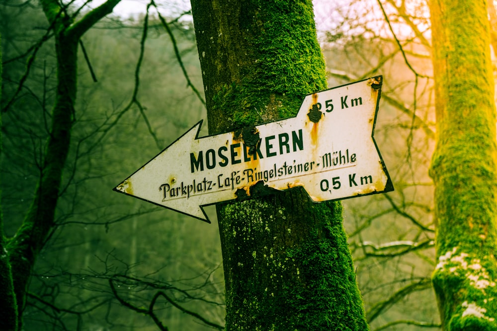 Moselkern signage