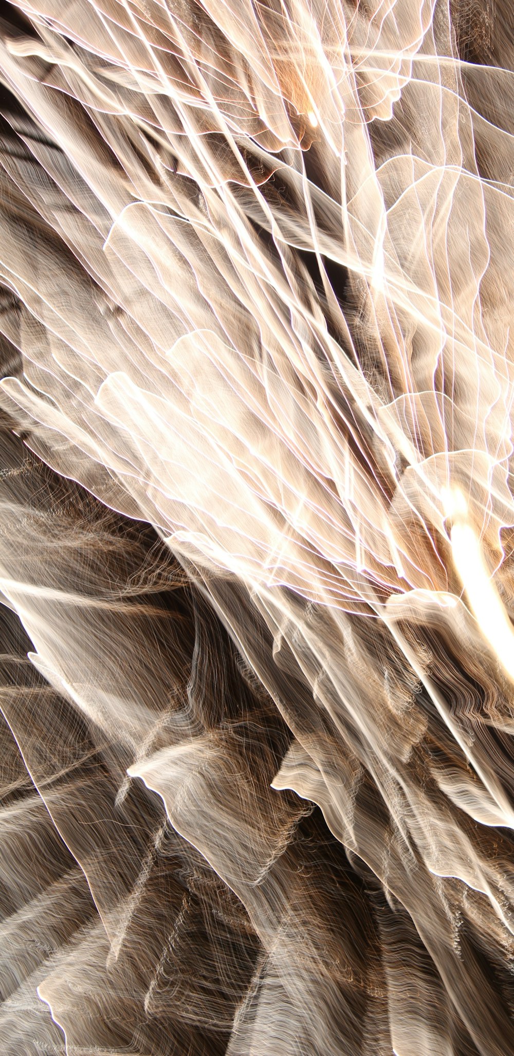 a close up of a bird's feathers pattern