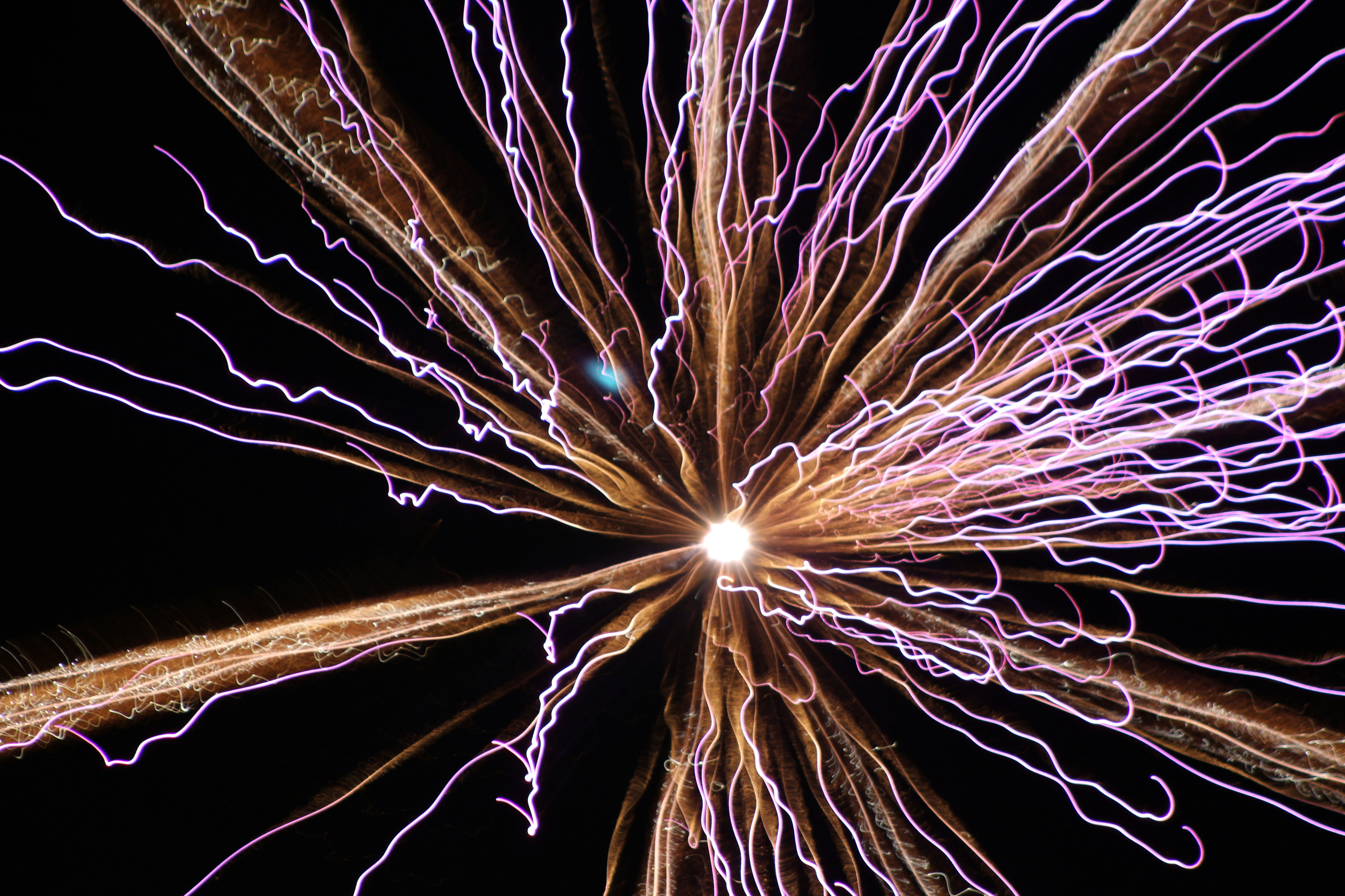 Photo by levi_midnight