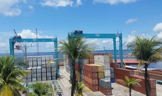 A busy container port with large blue gantry cranes and stacks of colorful shipping containers. Palm trees are visible in the foreground, and a body of water is in the background under a partly cloudy sky.
