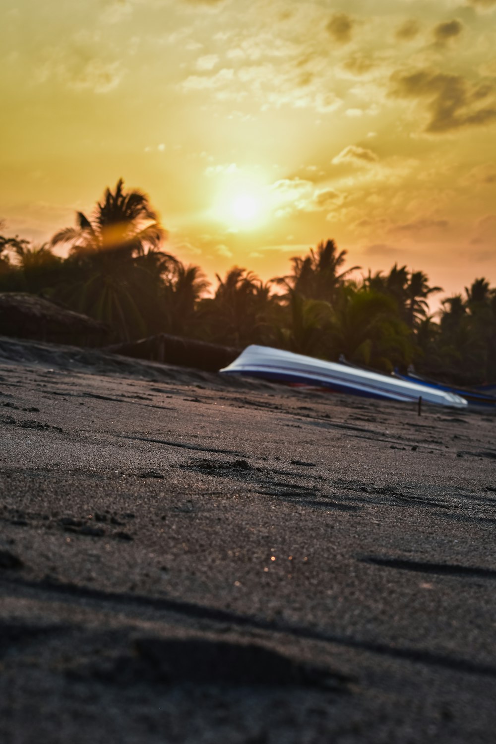 white boat on shore