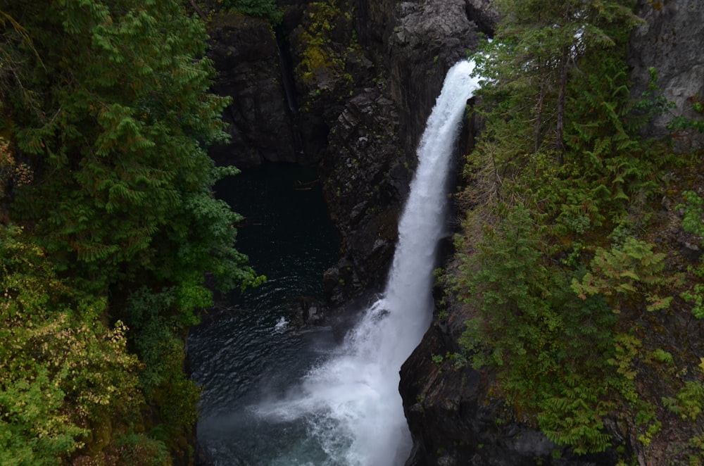 time-lapse photography of waterfalls surrounded with trees