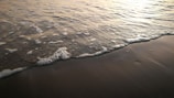 Slow-motion capture of waves gently crashing on a sandy beach.