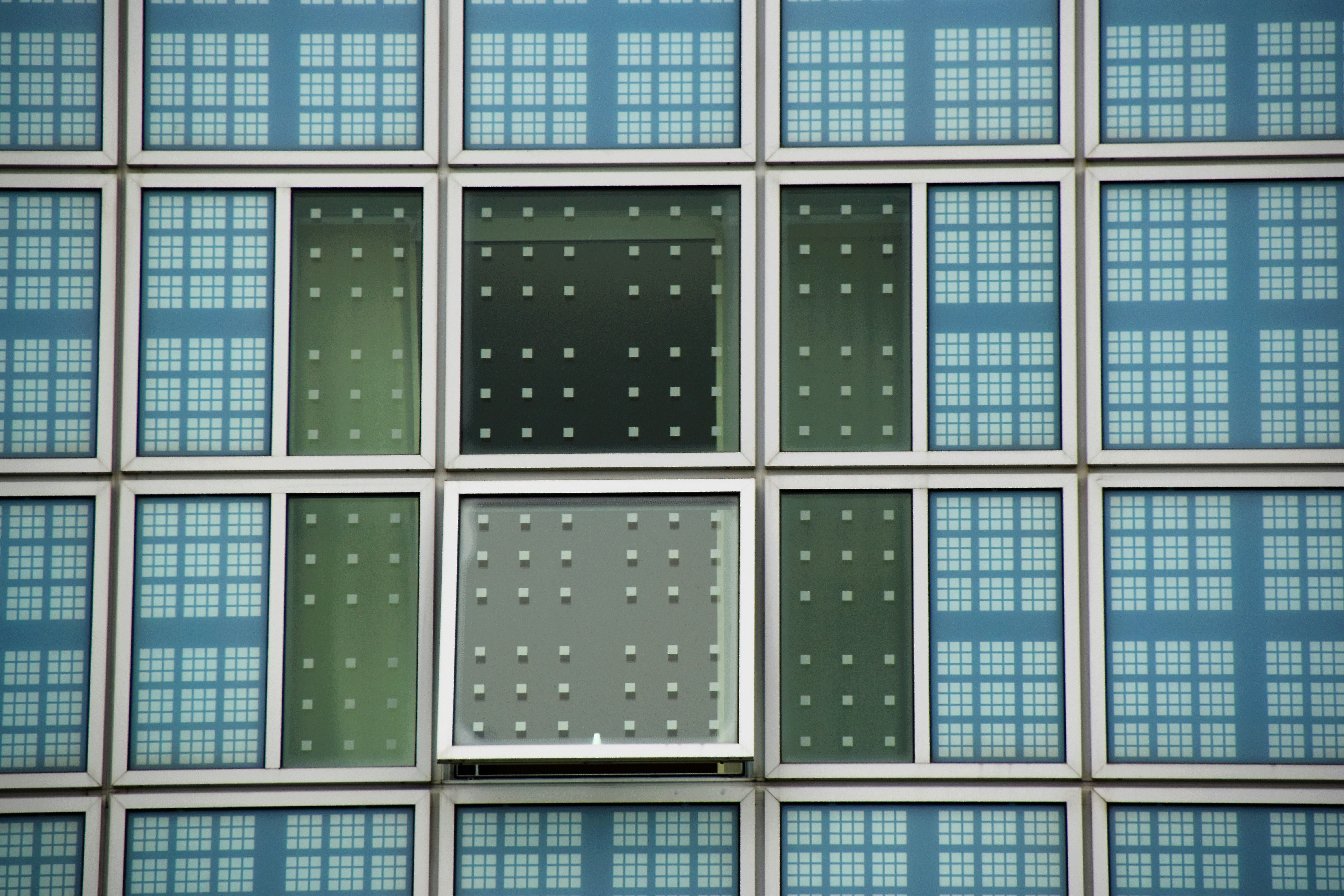 blue and gray windows