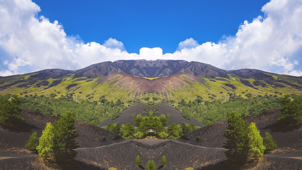 plants and mountains under blue sky