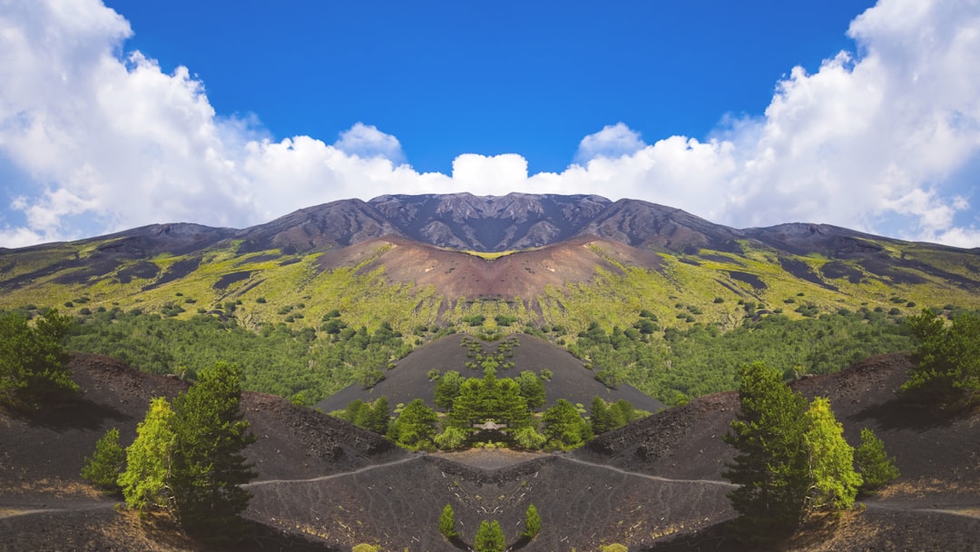plants and mountains under blue sky,