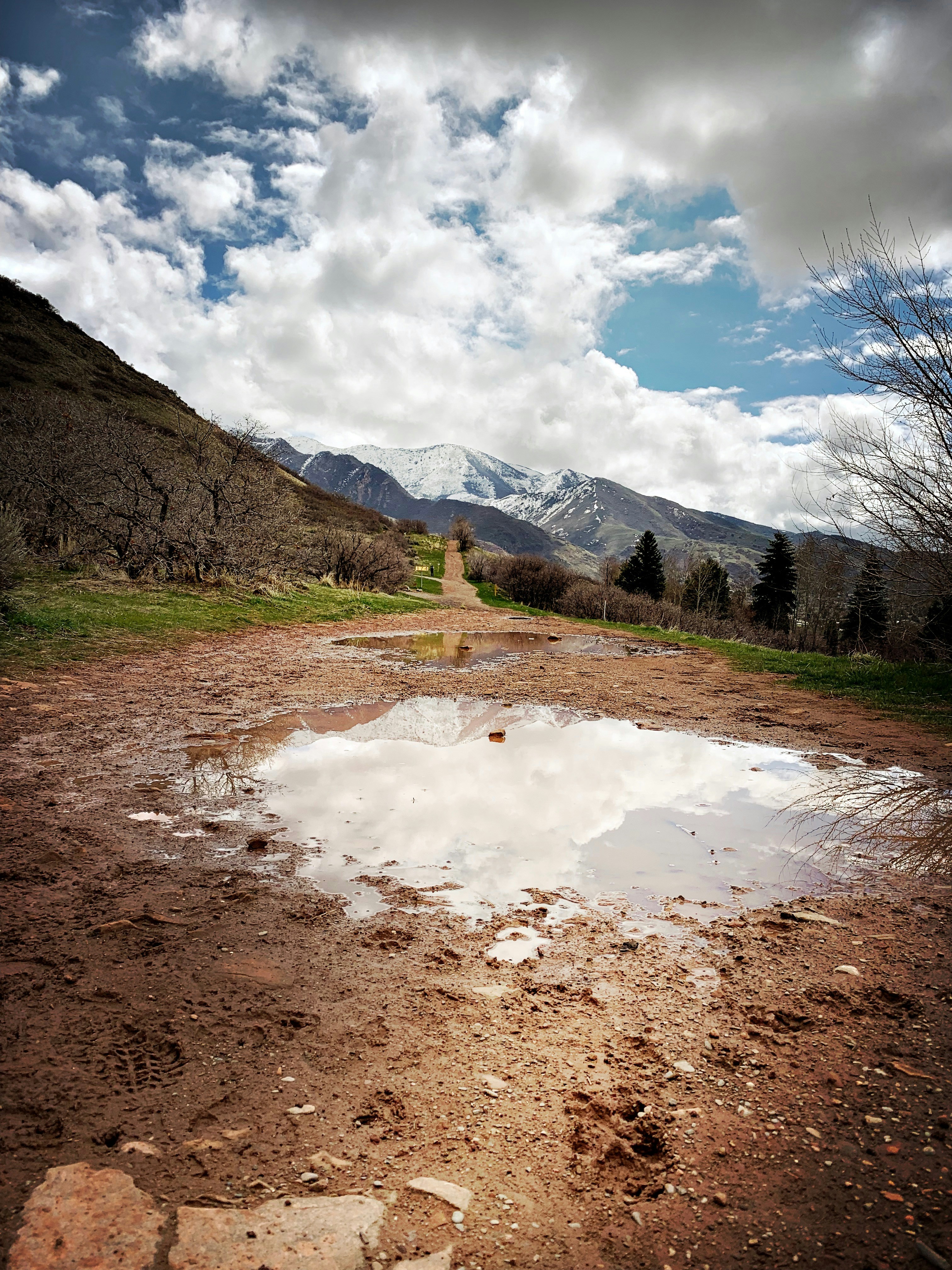 a path with a large watery and muddy puddle in the foreground; in the distance are trees and mountains and the sky is full of white fluffy clouds
