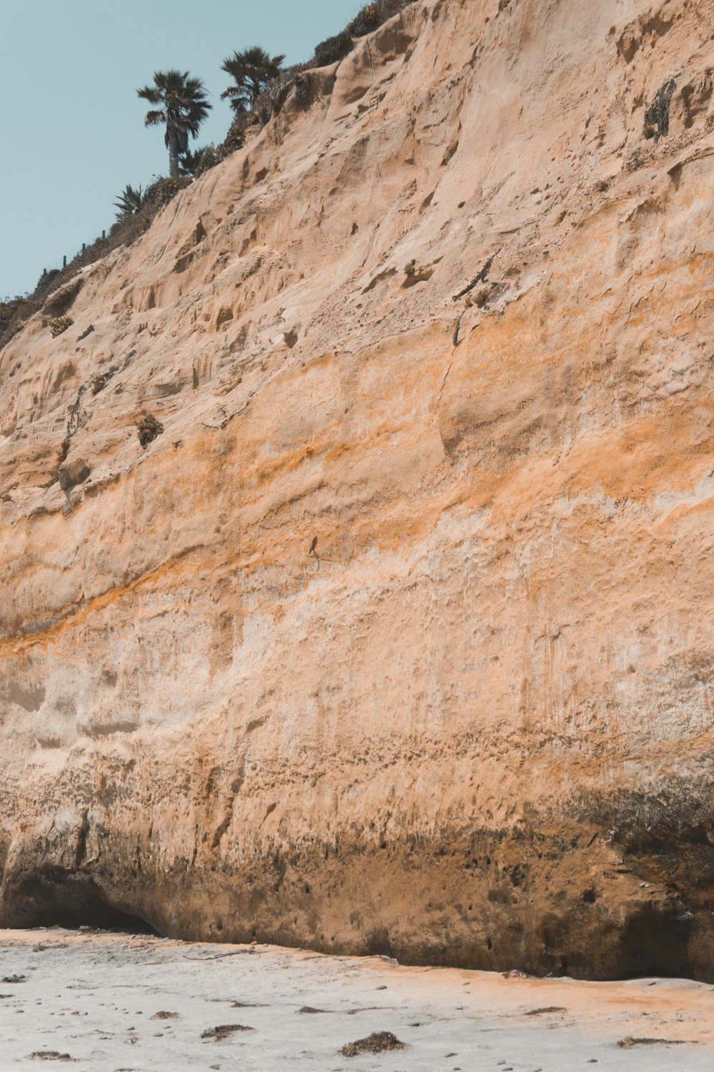 Falaise de la montagne Brown