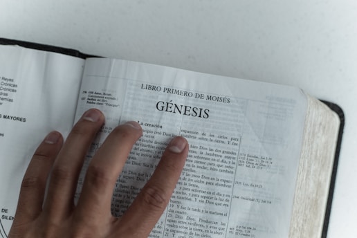 person holding open bible
