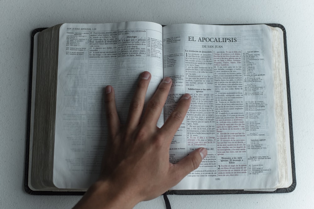 person touching book