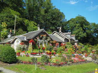 A quaint traditional stone cottage surrounded by vibrant bougainvillea flowers.