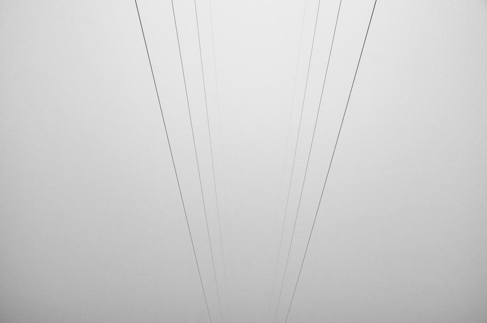 a black and white photo of power lines