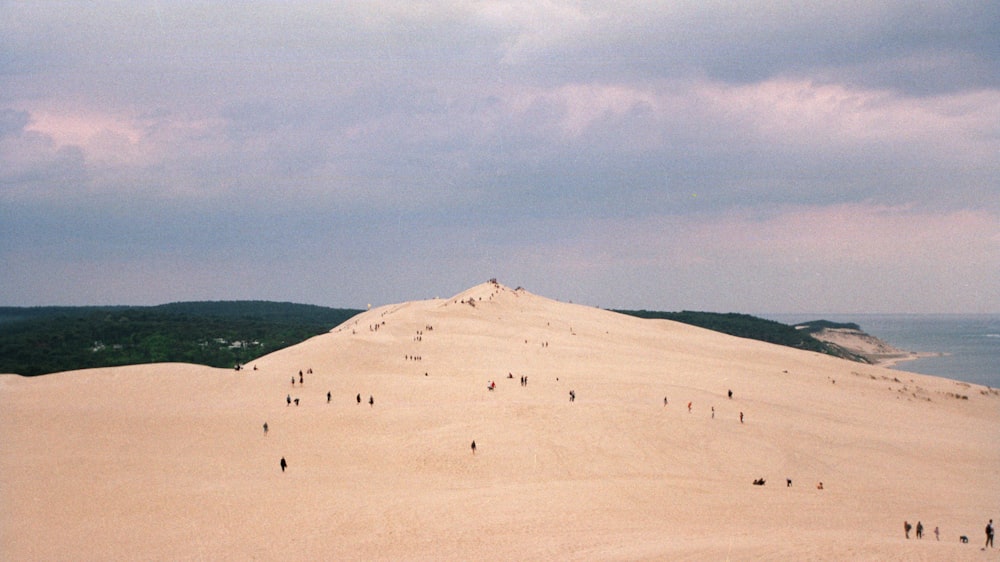 desert during daytime