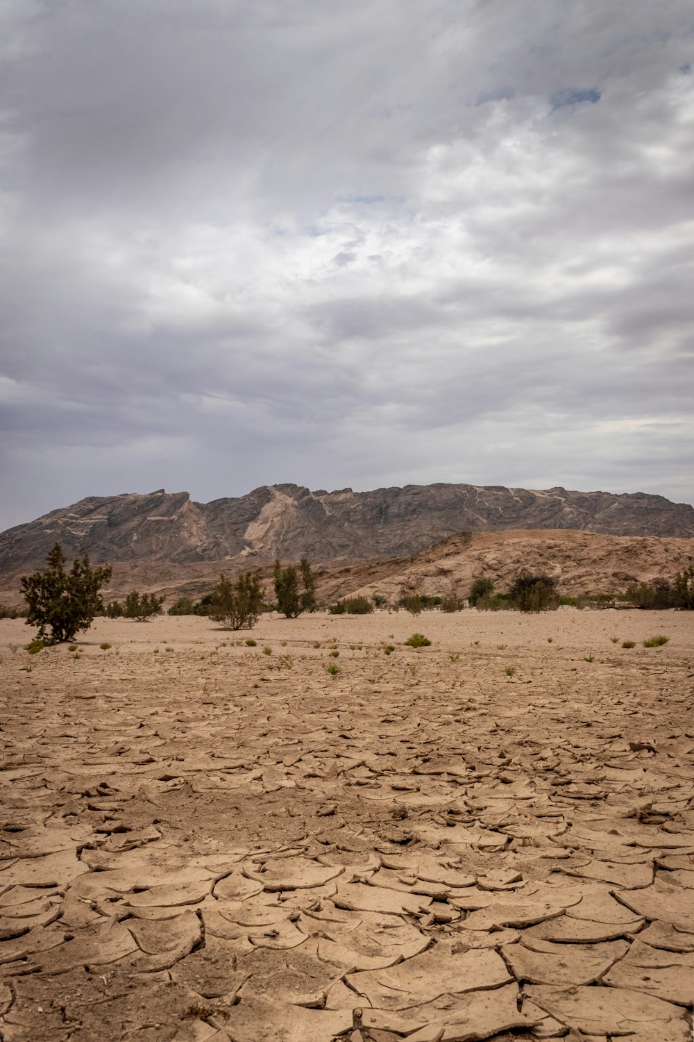 landscape photography of cracked soil