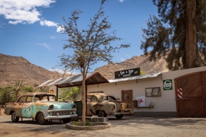 A rustic garage set in a desert landscape, with two vintage cars showing signs of rust parked in front. A tree stands near the center, surrounded by arid plants and distant hills. The building has a corrugated metal roof, a sign reading 'Tharl & Sons Garage,' alongside advertisements for automotive products, such as Castrol.