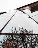 Glass facade reflecting the sky on a commercial building