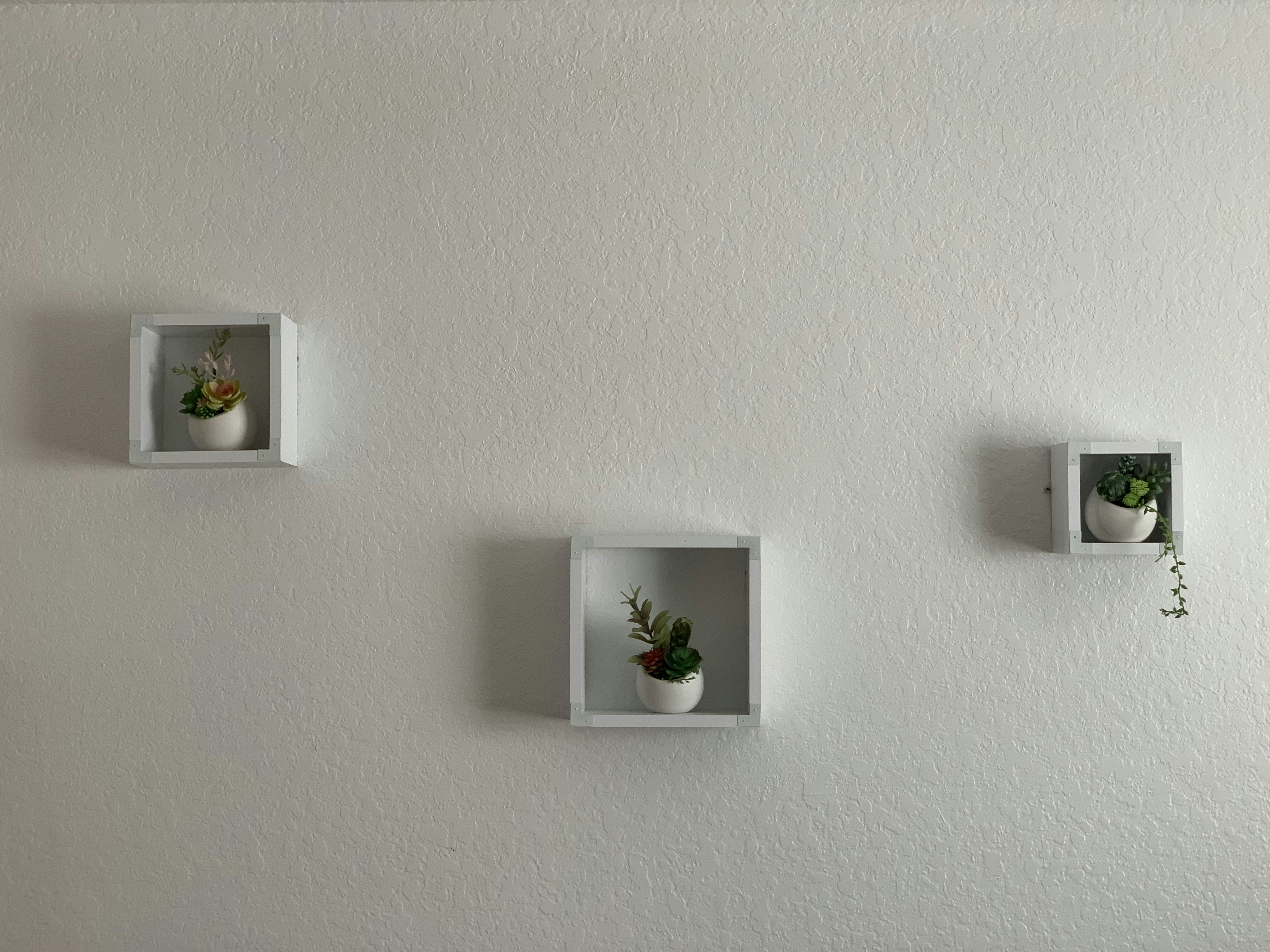 Compact cylindrical succulent vertical garden