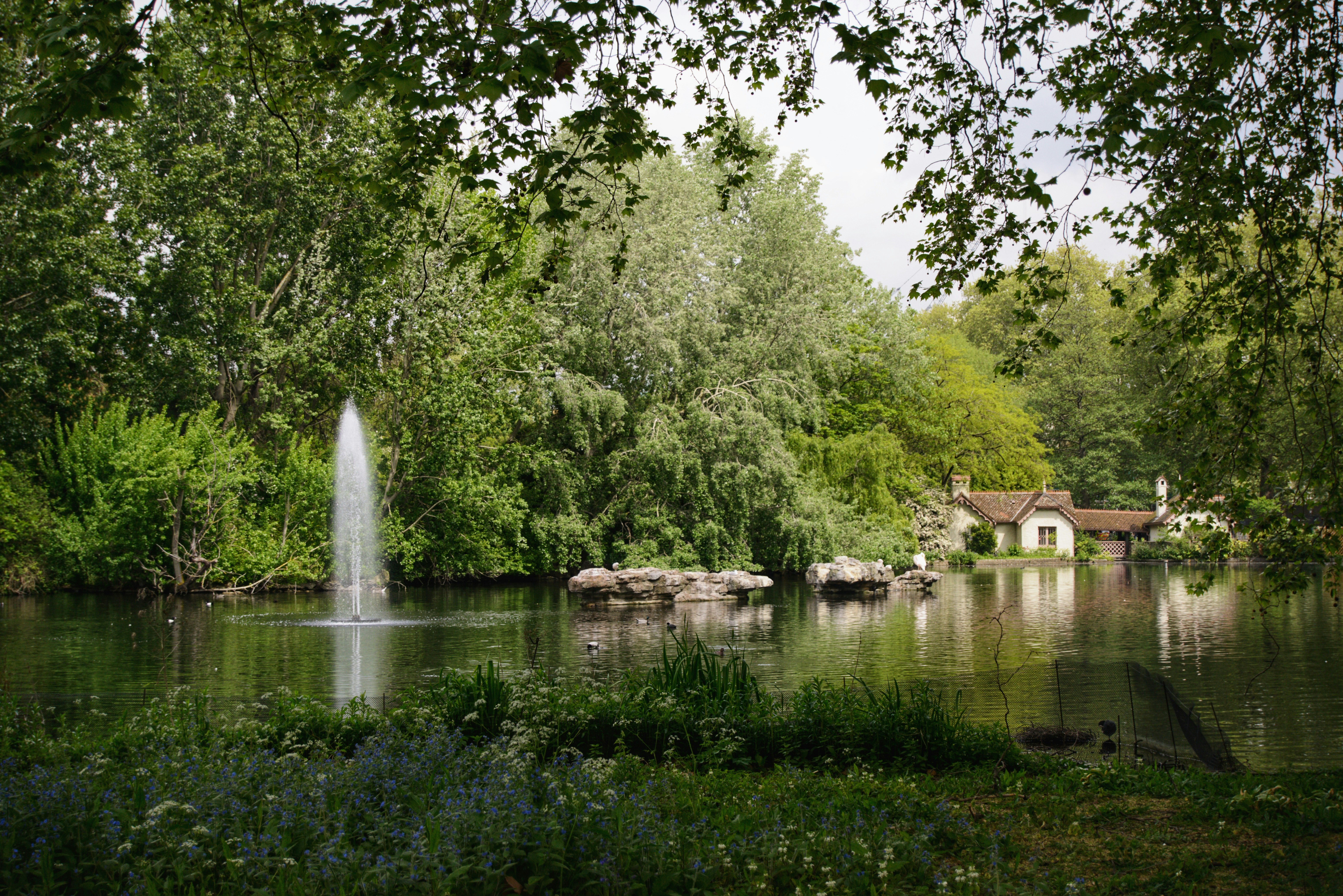 Photo by gabrielatorzsa