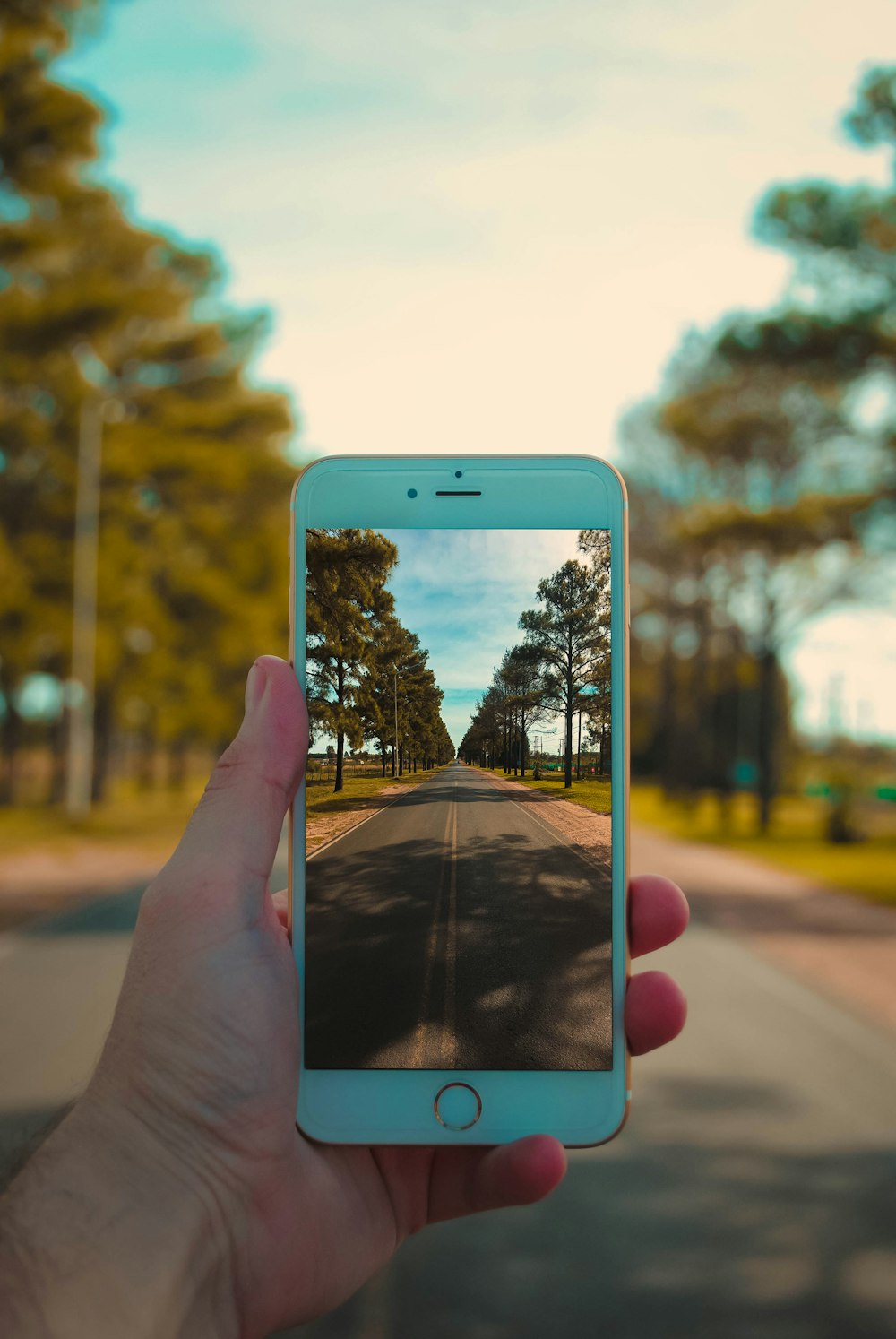 person taking photo of road using iPhone