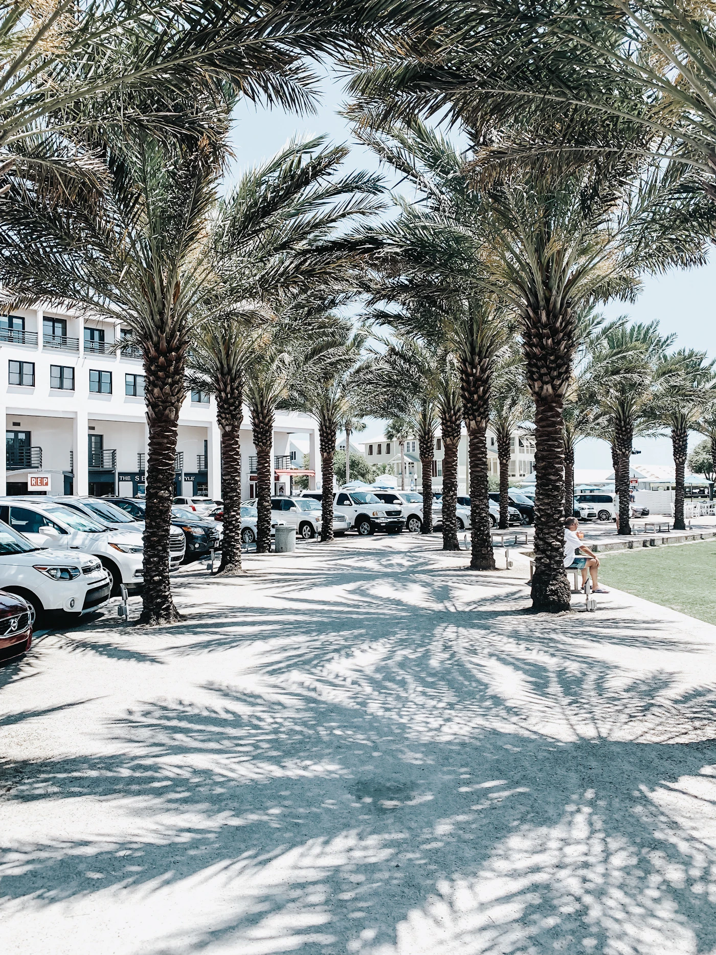 Palm shadows across a parking lot. Wide lots and rows of palms are part of the texture of western Miami-Dade.