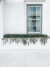 green grass