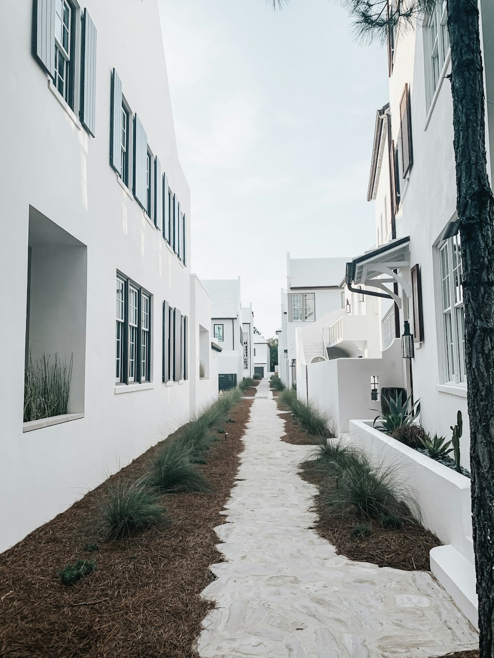 white concrete houses