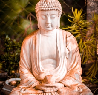 bouddhisme, méditation, livres de méditation, bouddha