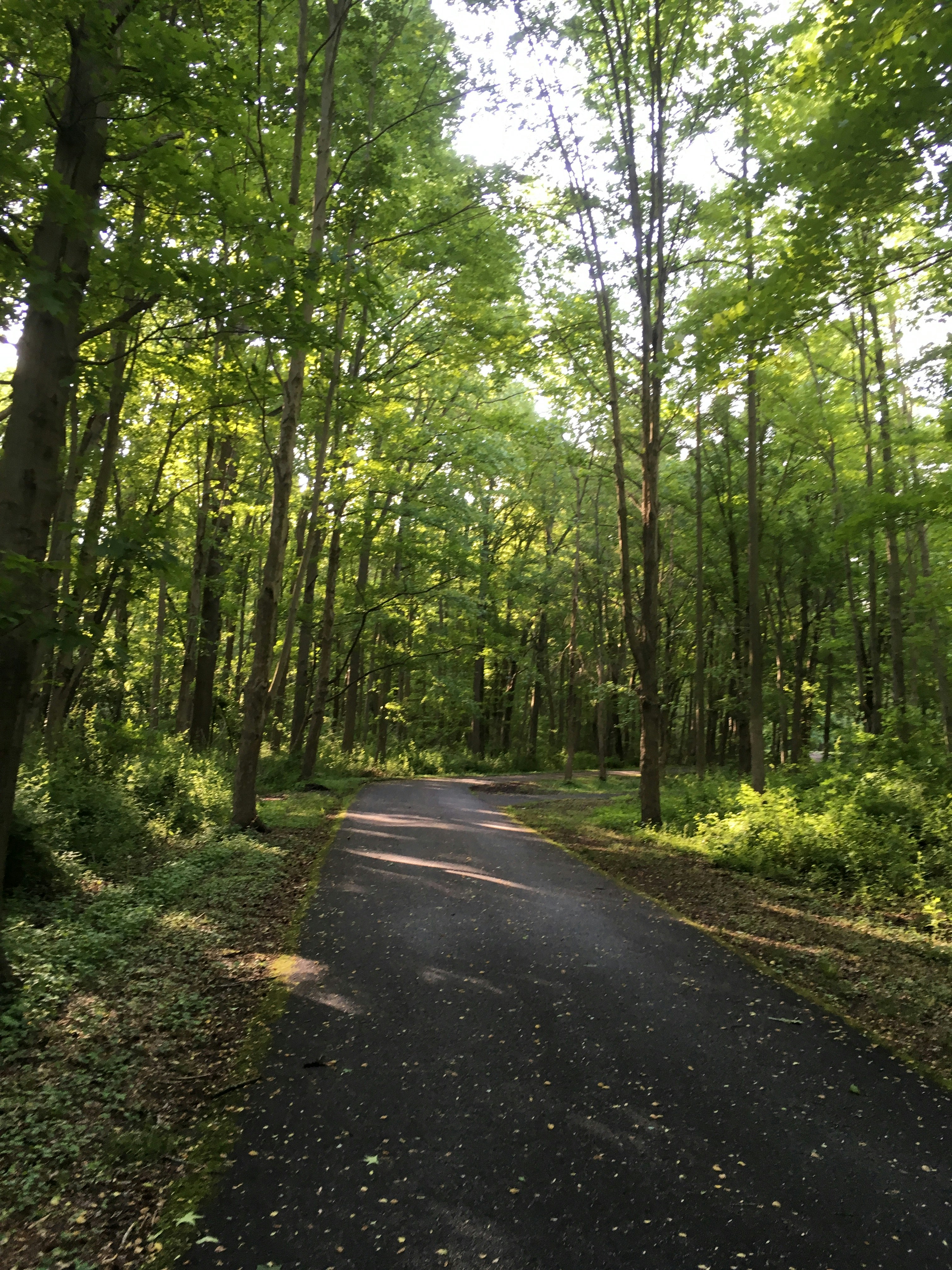 Photo by rajeshpadman