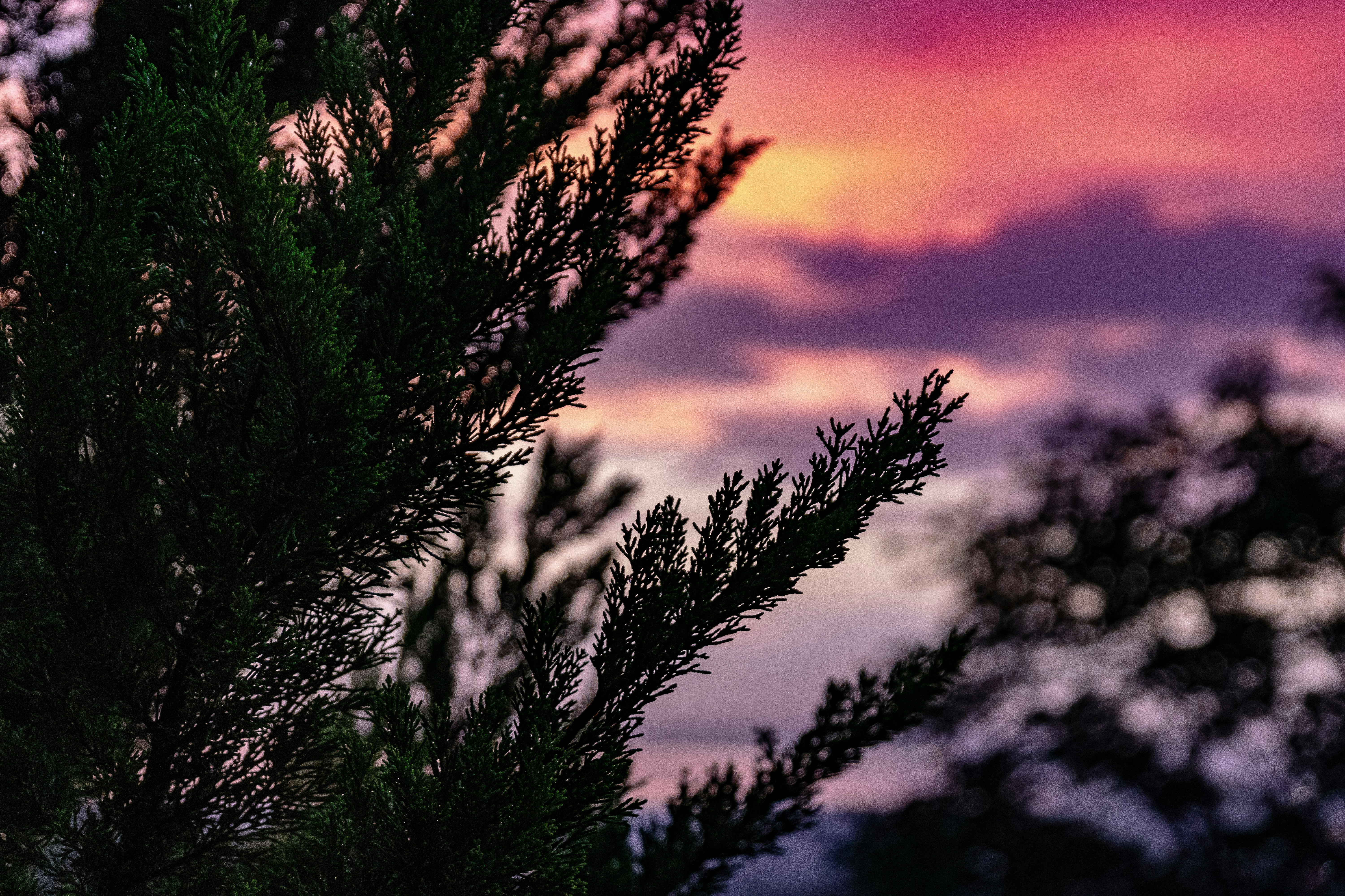 Photo by mikloru