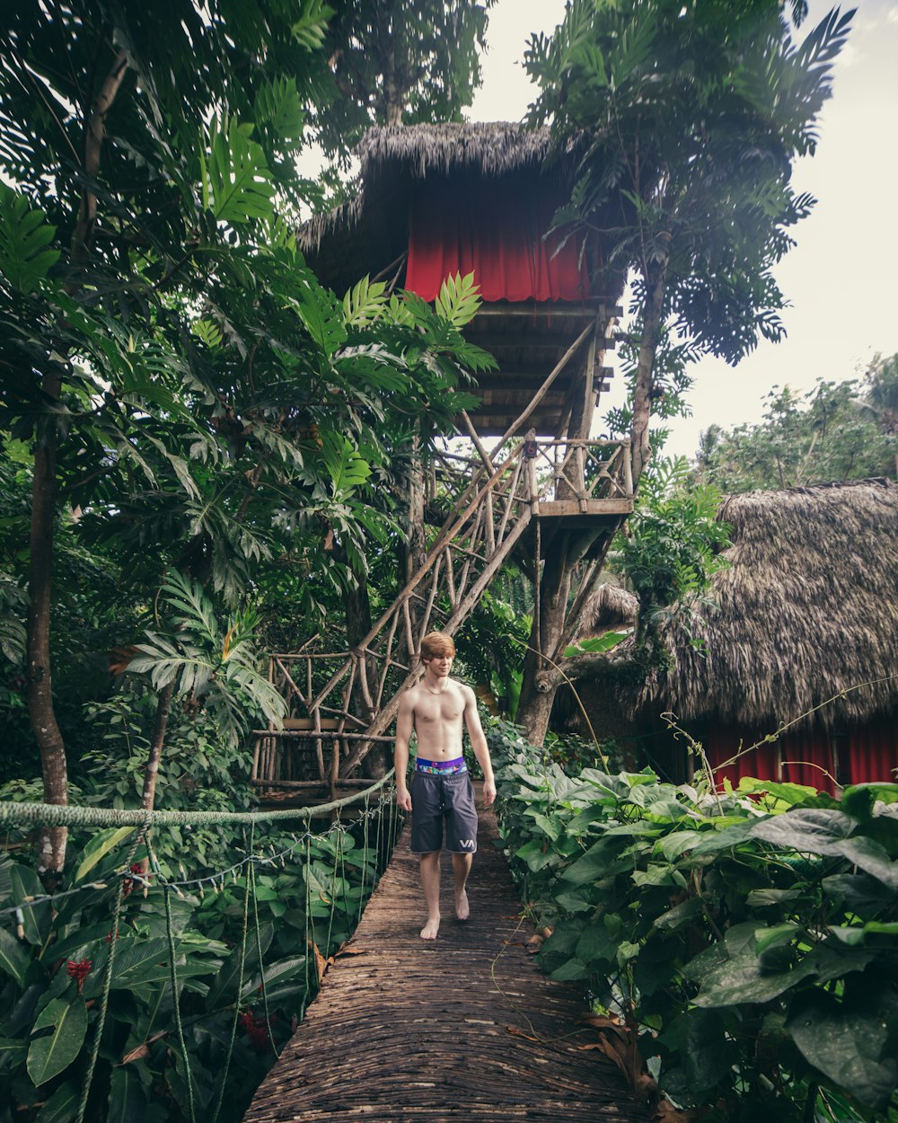 man walking on bridge near trees and in front of tree house