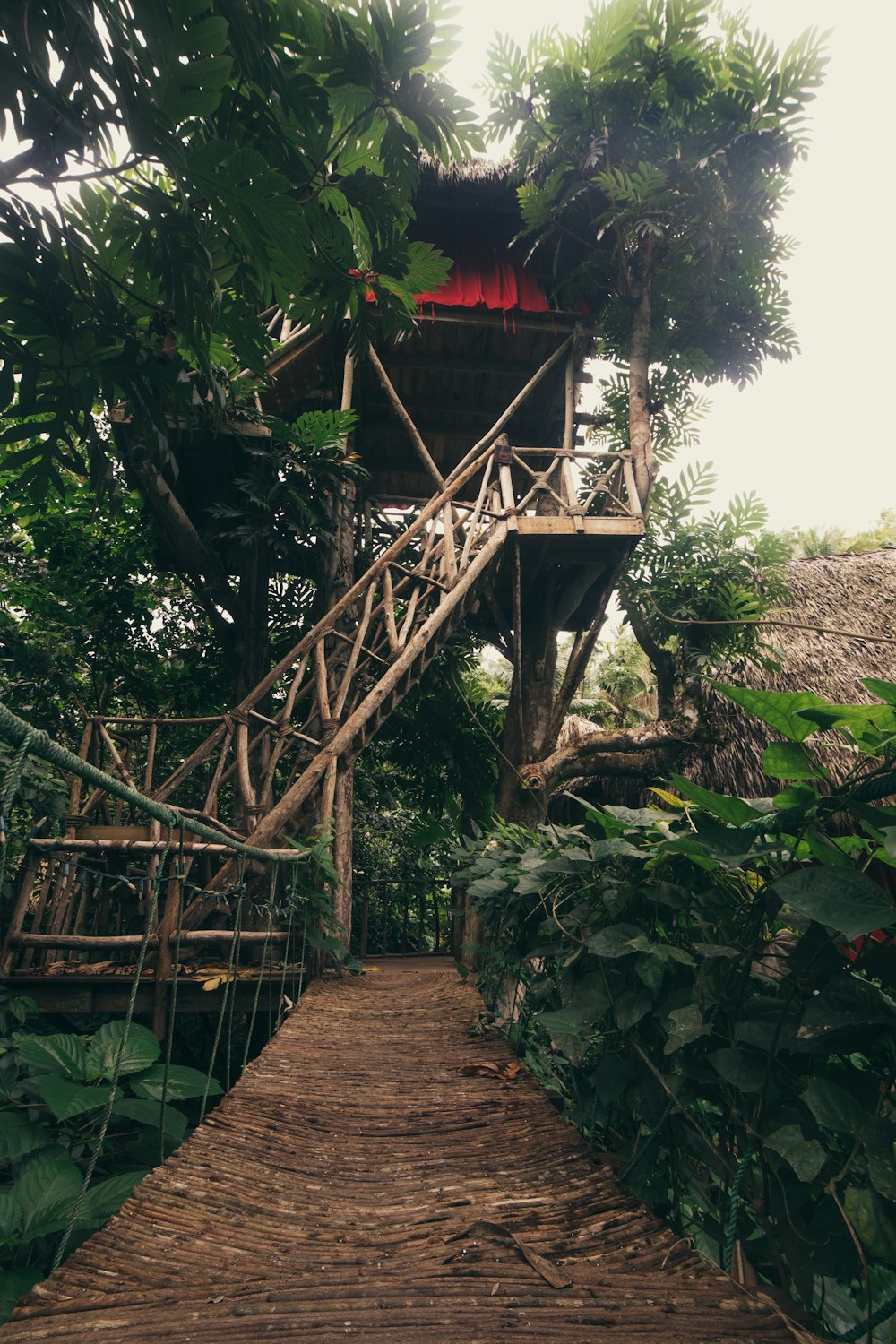 tree house during daytime