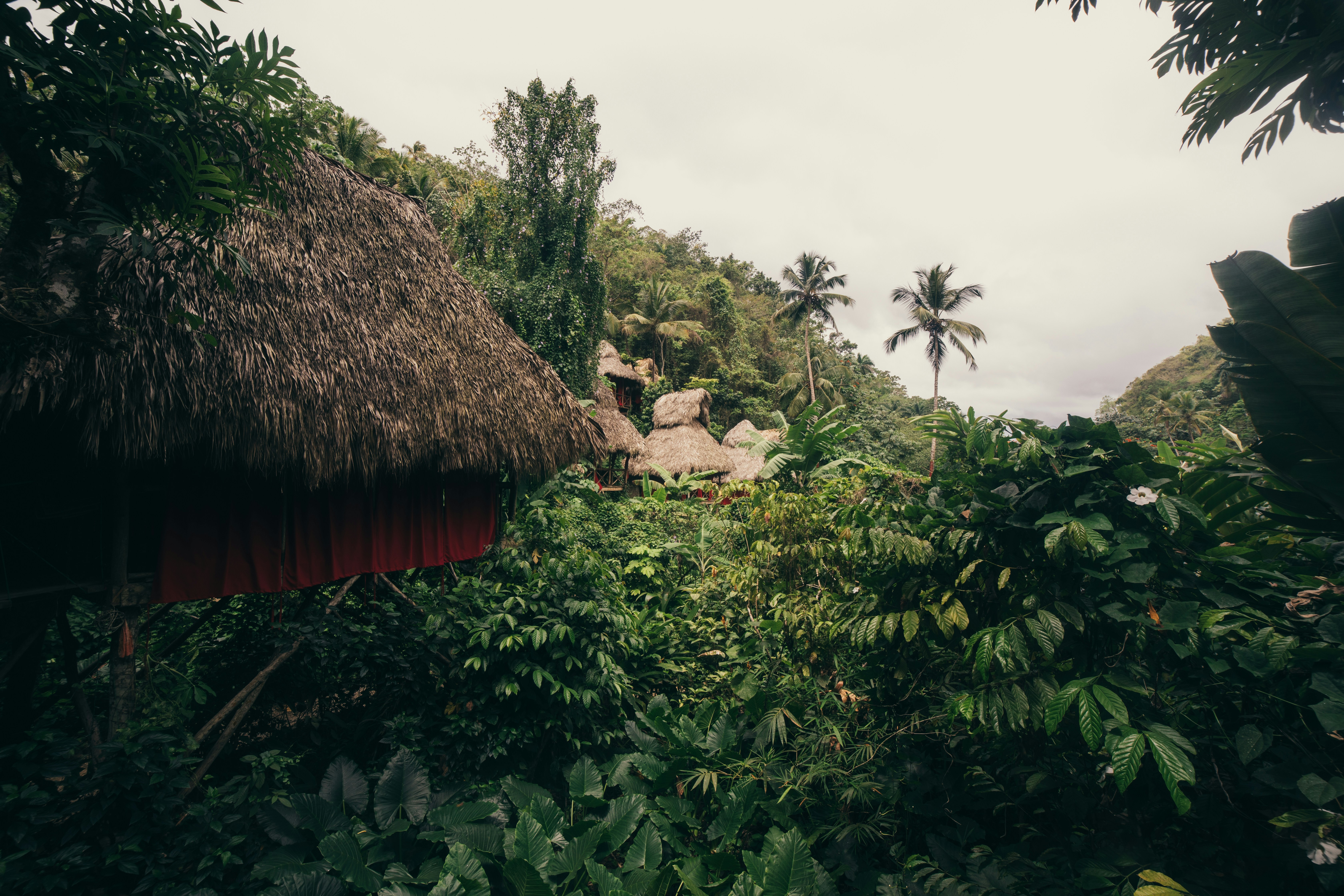 Photo by jordanmcgee