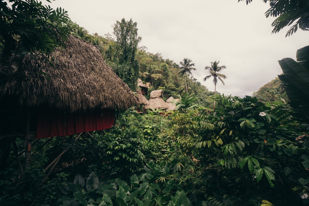 house surrounded with trees at daytime