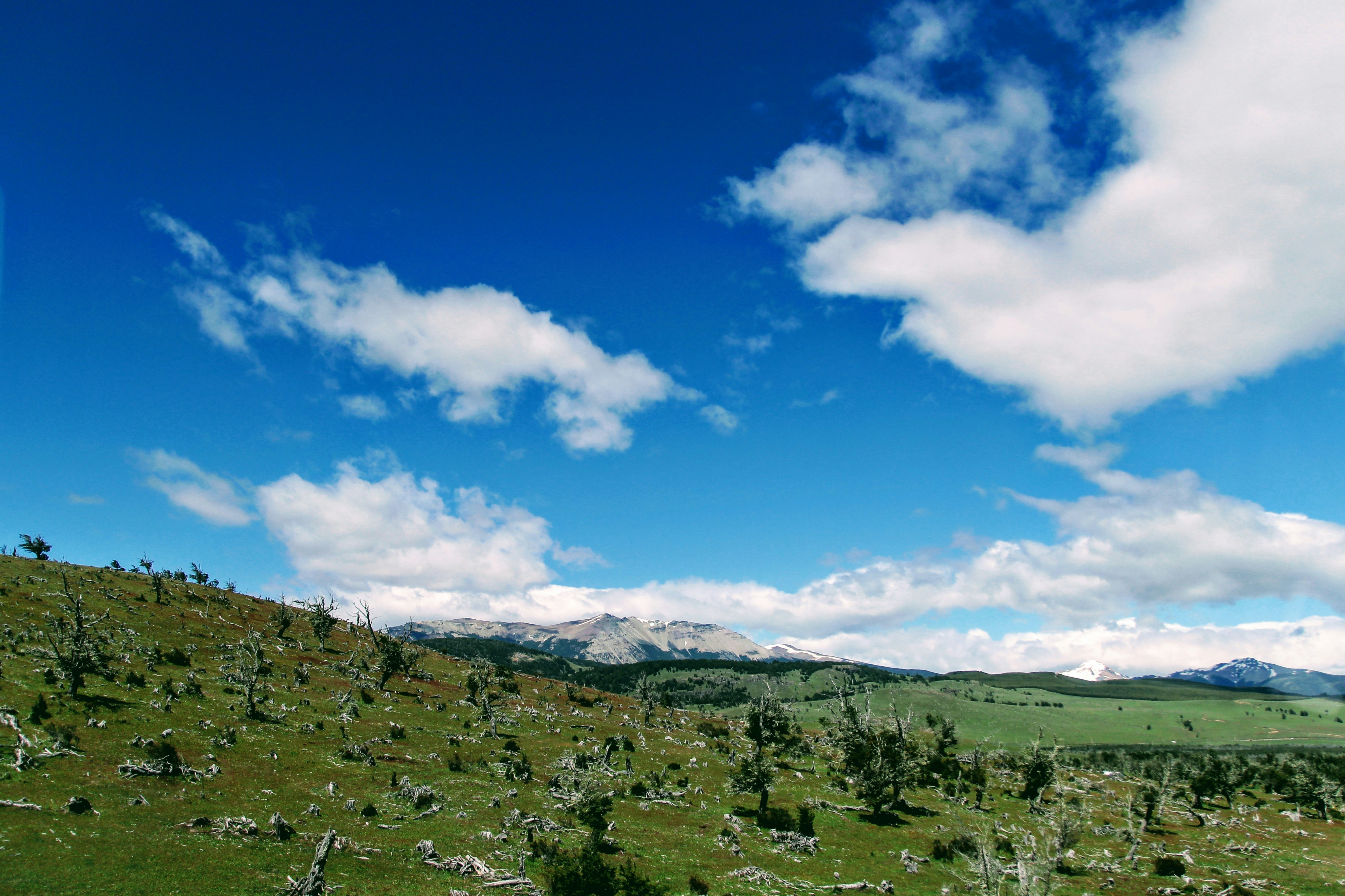 Photo by ricardoalfarog